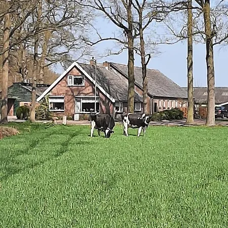 Hoeve De Laan Woudenberg Exterior photo