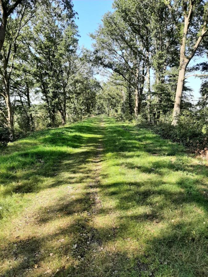 Hoeve De Laan Holiday home *