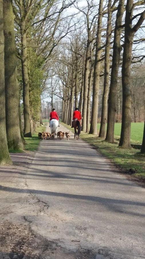 Hoeve De Laan * Woudenberg