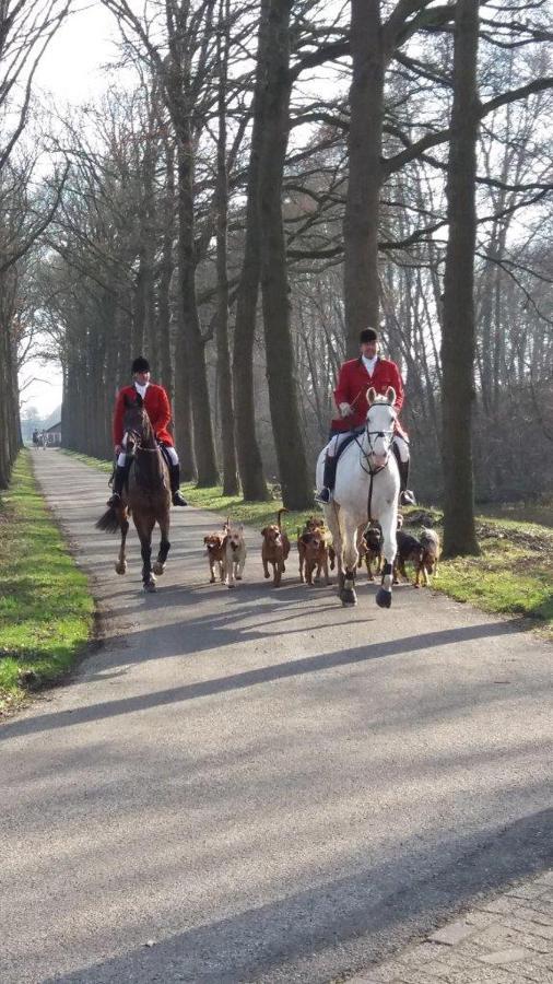 Hoeve De Laan Woudenberg